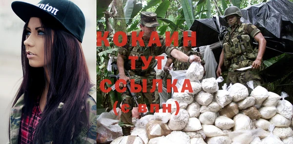 молекула духа Няндома