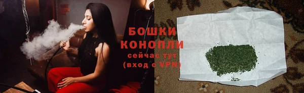 молекула духа Няндома