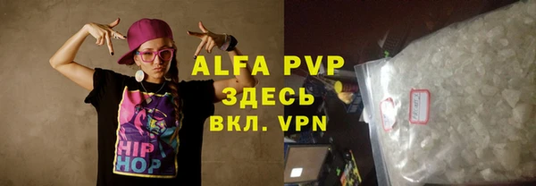 молекула духа Няндома