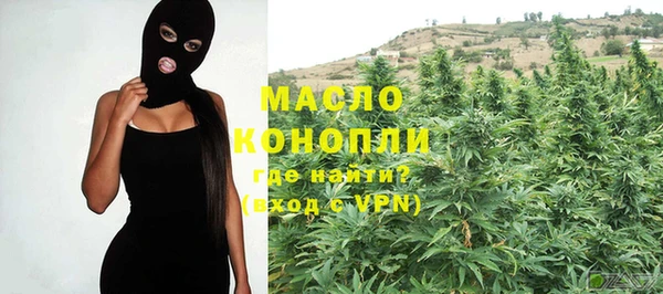 молекула духа Няндома
