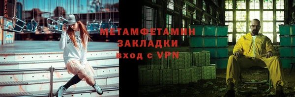 прущие грибы Новодвинск
