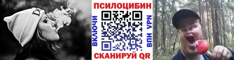 Псилоцибиновые грибы мухоморы  где купить наркотик  Киреевск 