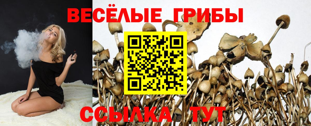 Псилоцибиновые грибы MAGIC MUSHROOMS  Киреевск 